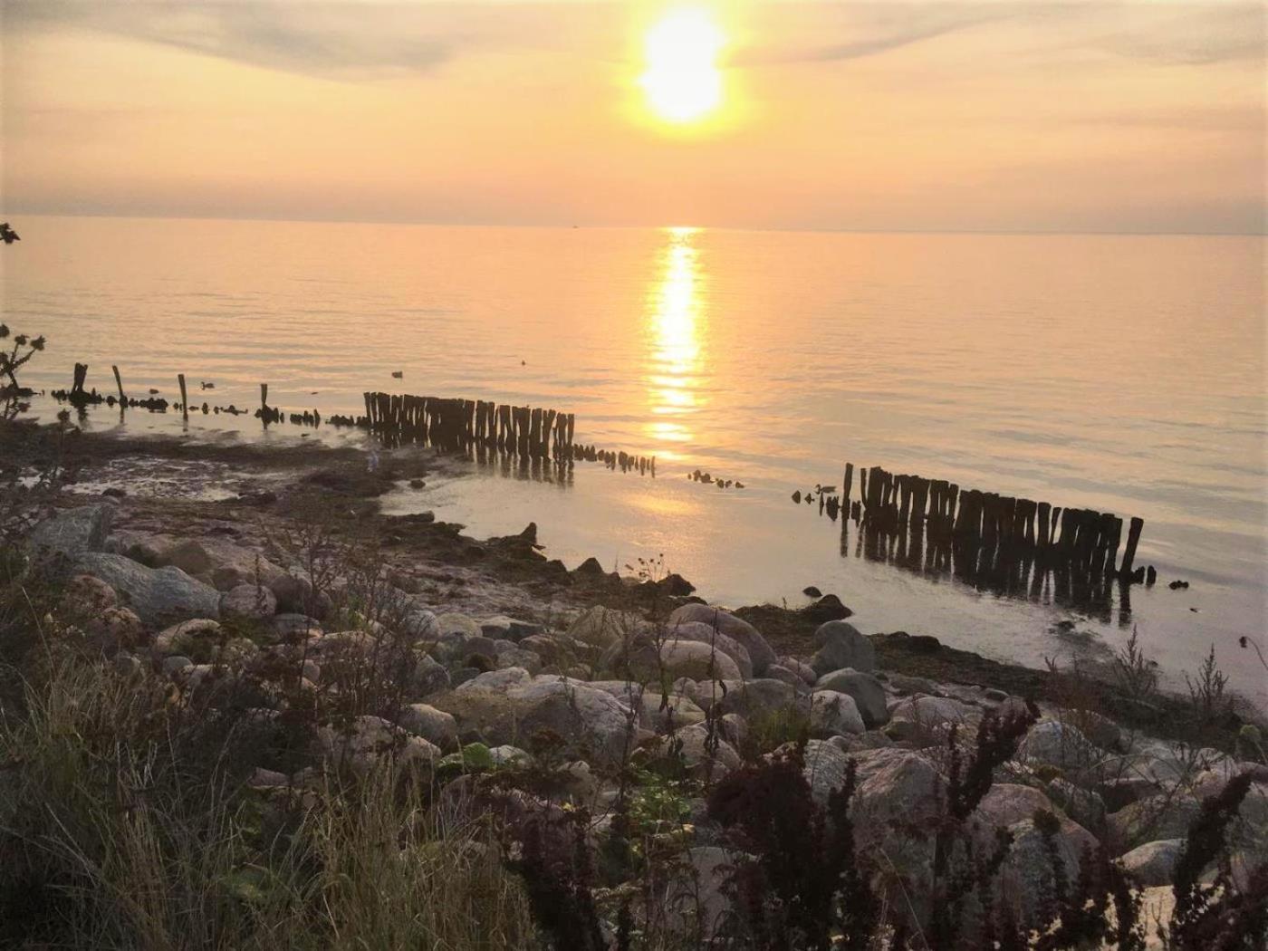 Dahmer Strand 18 Muschelhus Dış mekan fotoğraf